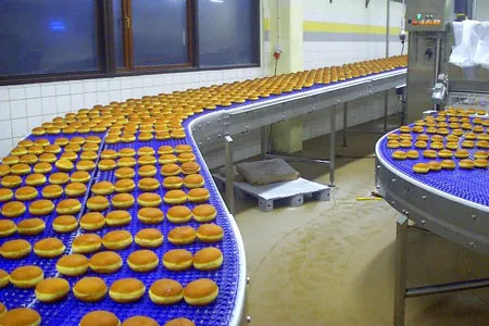 Services food conveyor system 1 2062606774